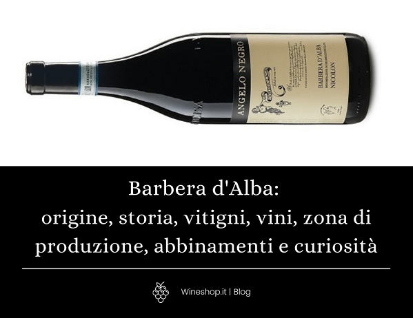 Barbera d'Alba: origine, storia, vitigni, vini, zona di produzione, abbinamenti e curiosità
