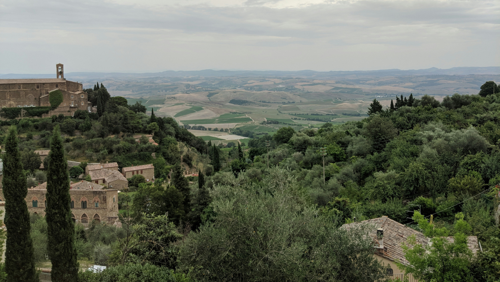 Notizie sul vino: storica ed eccellente, la vendemmia 2024 a Montalcino