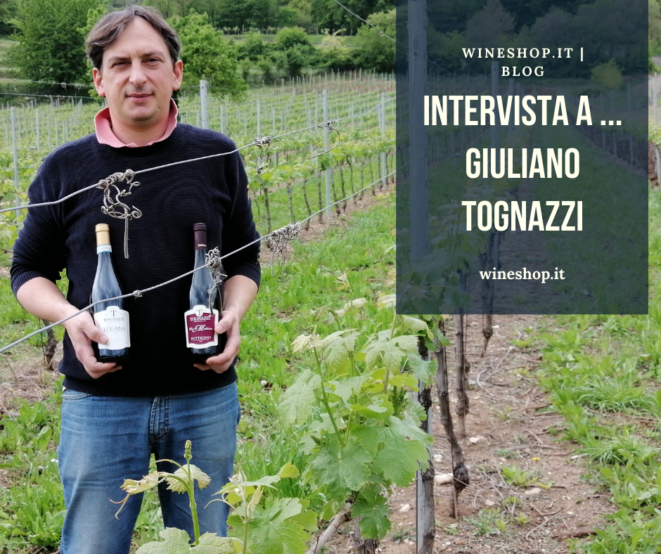 I grandi produttori di vino italiano: intervista a Giuliano Tognazzi, azienda agricola Benedetto – Tognazzi