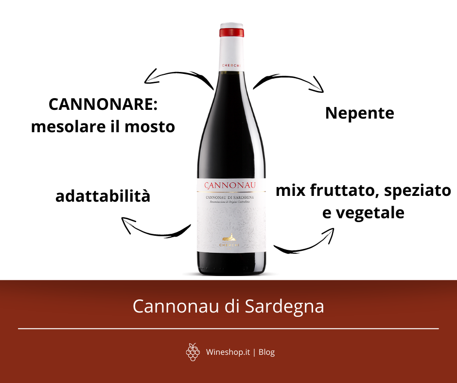 Cannonau di Sardegna: tutto quello che devi sapere