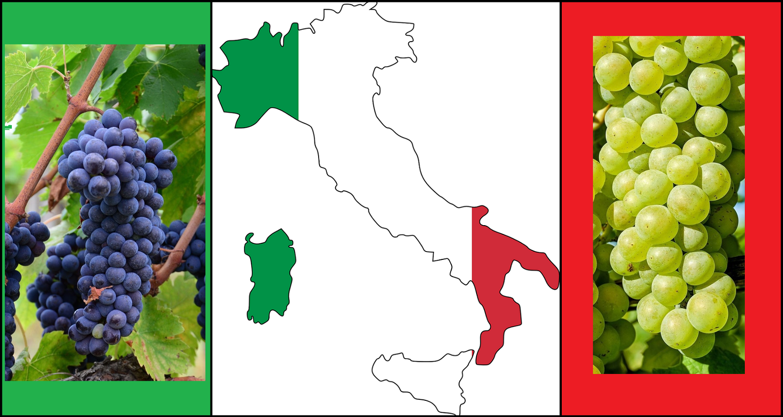 Quali sono i vitigni più diffusi in Italia