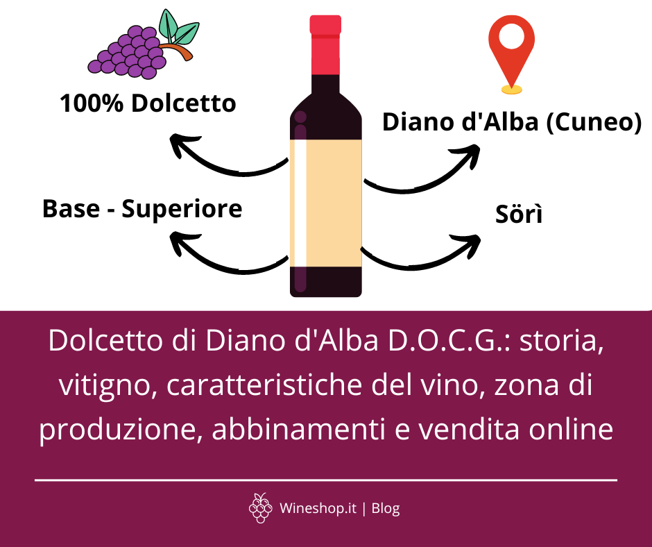 Dolcetto di Diano d'Alba: storia, vitigno, caratteristiche del vino, zona di produzione, abbinamenti e vendita online