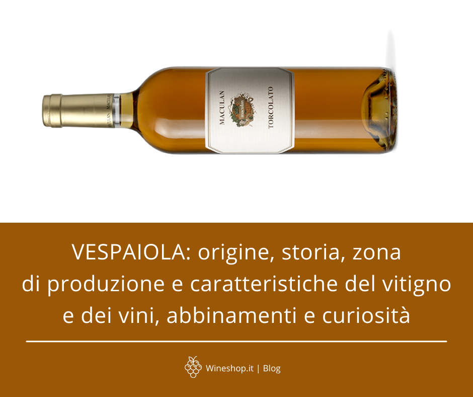 Vespaiola: origine, storia, zona di produzione e caratteristiche del vitigno e dei vini, abbinamenti e curiosità