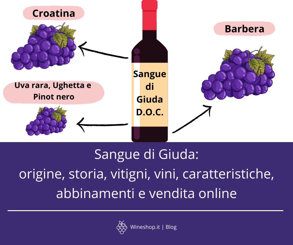 Sangue di Giuda: origine, storia, vitigni, vini, caratteristiche, abbinamenti e vendita online