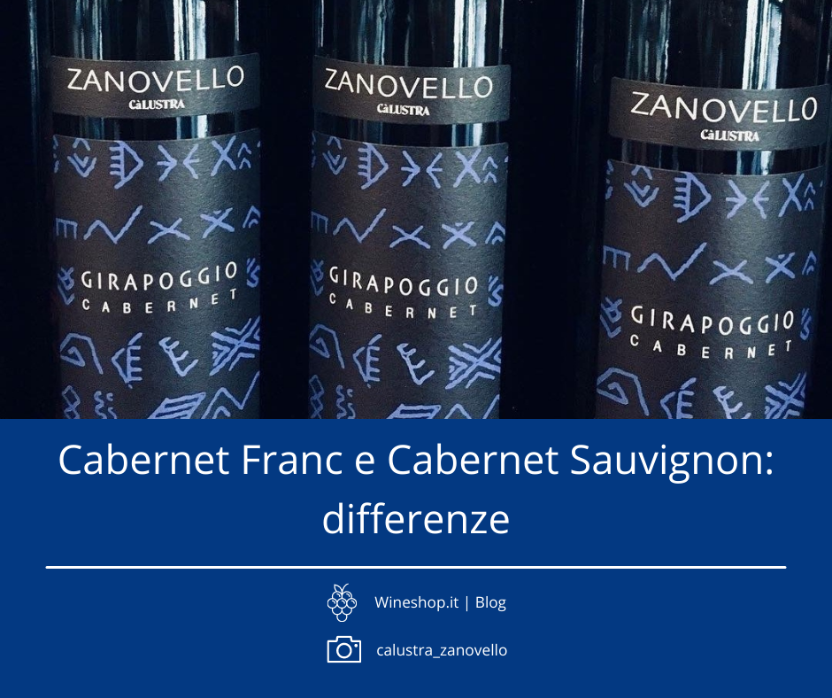 Quali sono le differenze tra Cabernet Franc e Cabernet Sauvignon?