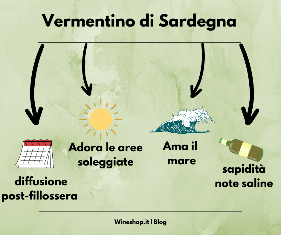 Tutto quello che devi sapere sul Vermentino di Sardegna