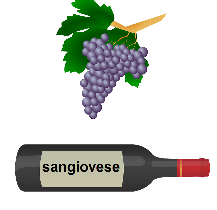 Il vitigno Sangiovese e i suoi vini