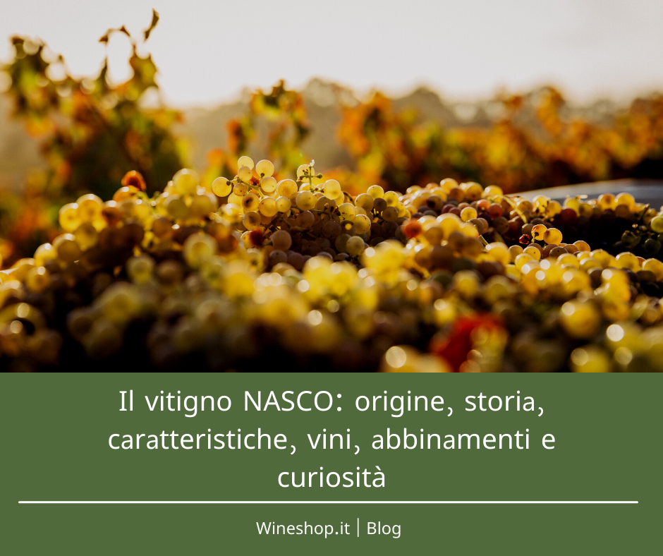 Il vitigno Nasco: origine, storia, caratteristiche, vini, abbinamenti e curiosità