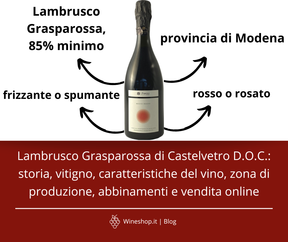 Lambrusco Grasparossa di Castelvetro D.O.C.: storia, vitigno, caratteristiche del vino, zona di produzione, abbinamenti e vendita online