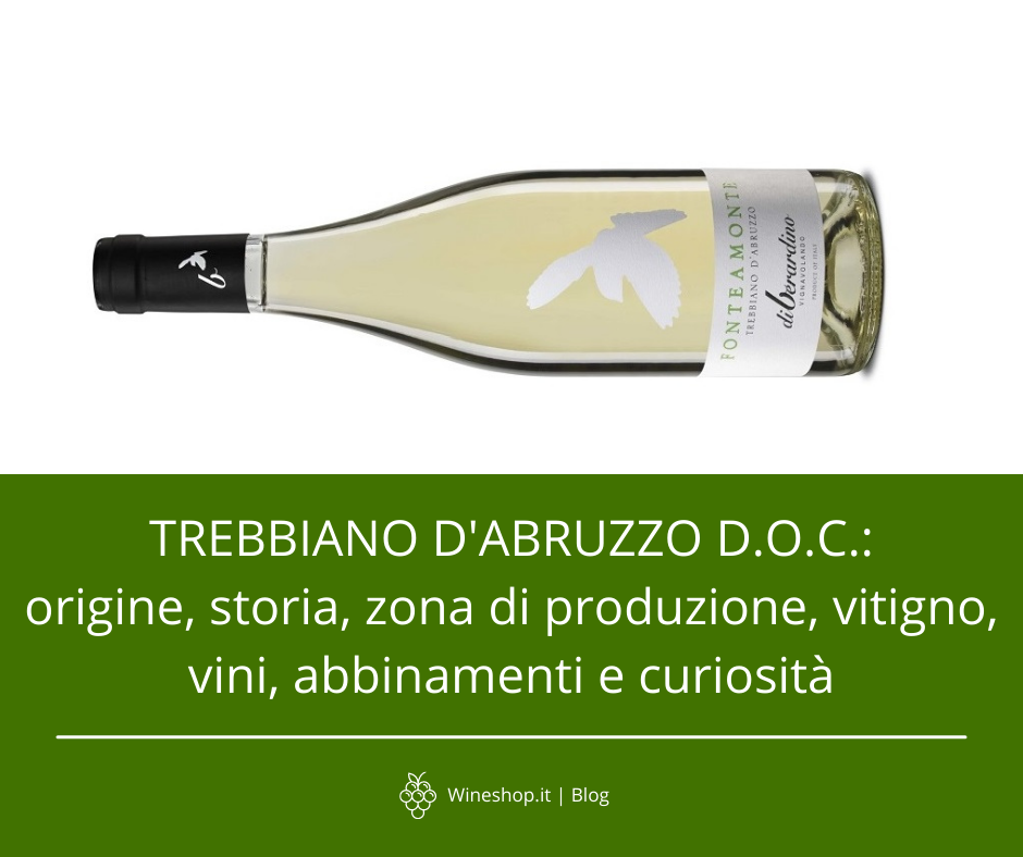 Trebbiano d'Abruzzo D.O.C.: origine, storia, zona di produzione, vitigno, vini, abbinamenti e curiosità 