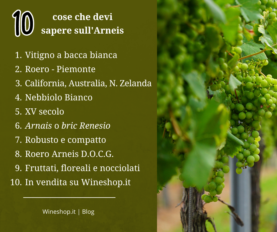 10 cose che devi sapere sul vitigno Arneis