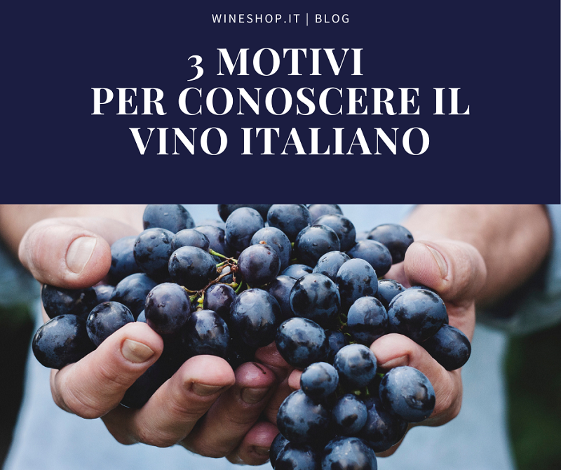 3 motivi per conoscere il vino italiano