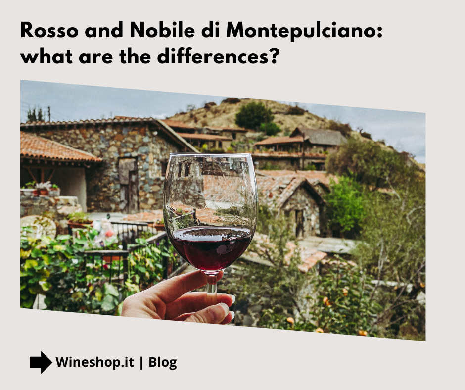 Rosso di Montepulciano and Vino Nobile di Montepulciano: what are the differences?