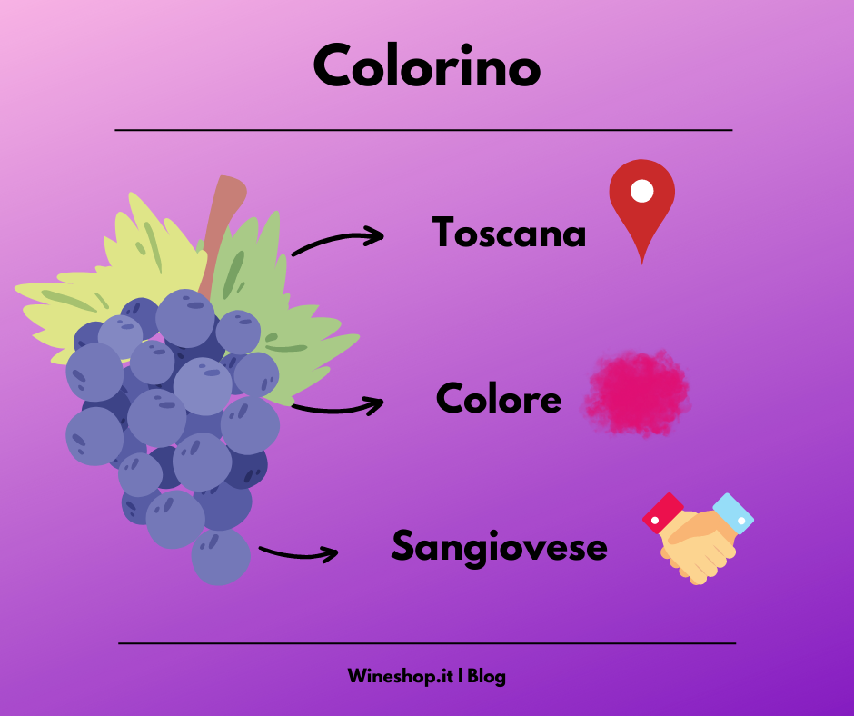 Colorino: vitigno e vini