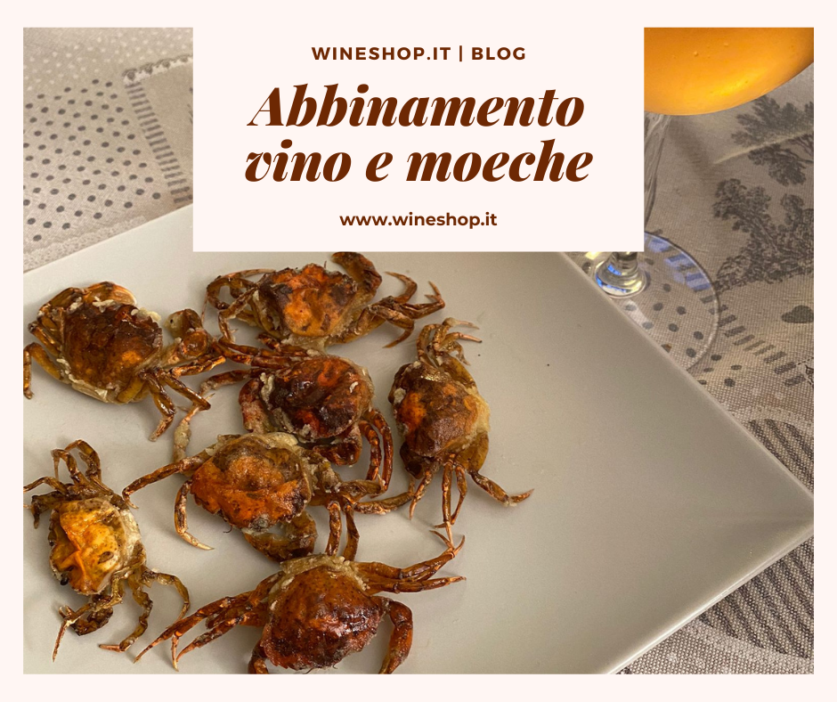 Abbinamento vino e moeche