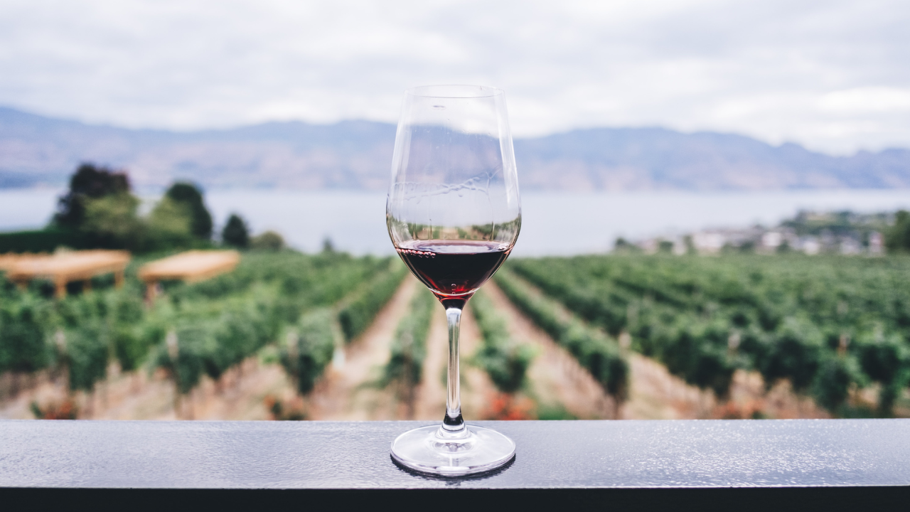 Notizie sul vino: Vino protagonista dell’export UE, +10,9% nel 2024 secondo Eurostat