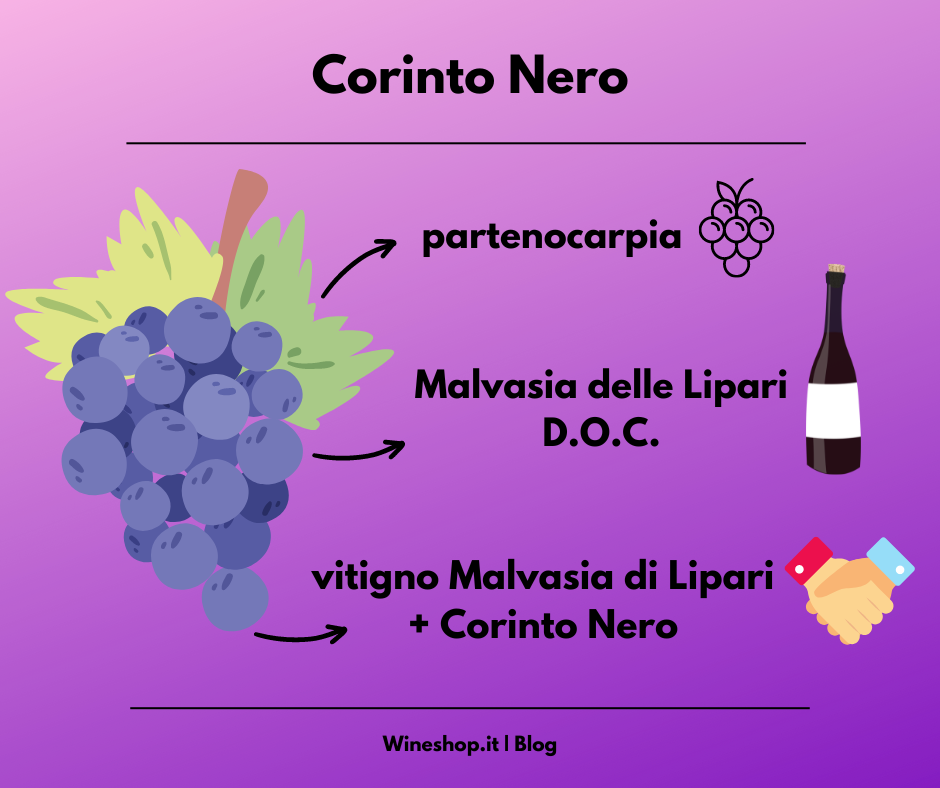 Corinto Nero: storia, zona di produzione, caratteristiche del vitigno e dei vini, abbinamenti e vendita online