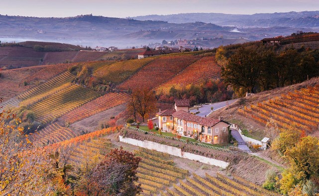 Azienda vitivinicola Rizieri