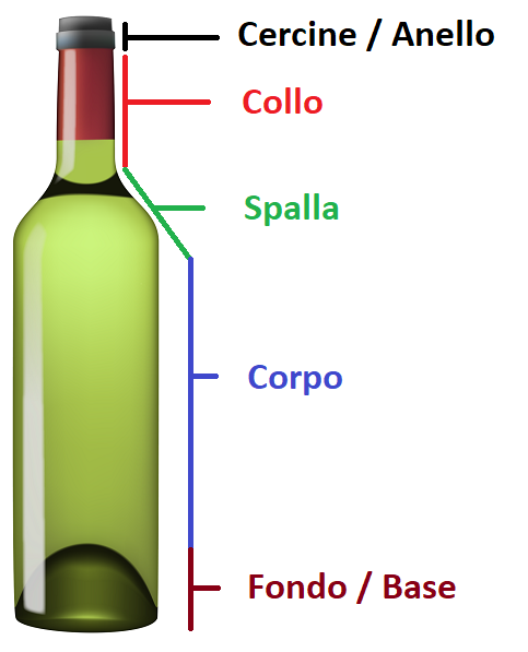 Bottiglia di vino: quali sono e come si chiamano le sue parti 