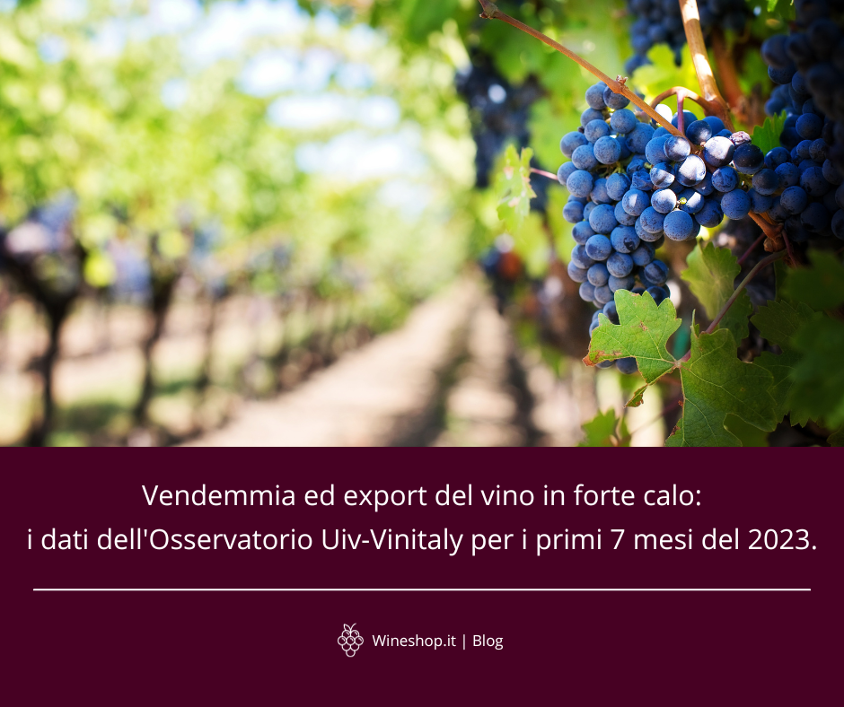 Vendemmia ed export del vino in forte calo: i dati dell'Osservatorio Uiv-Vinitaly per i primi 7 mesi del 2023