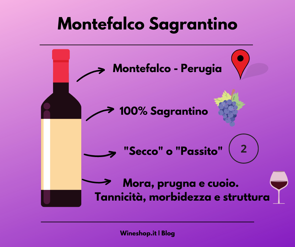 Sagrantino: storia, zona di produzione, caratteristiche del vitigno e dei vini, curiosità e vendita online