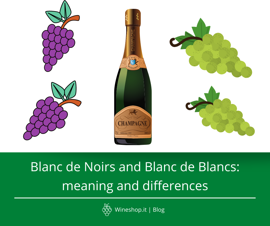 Blanc de Noirs and Blanc de Blancs: meaning and differences