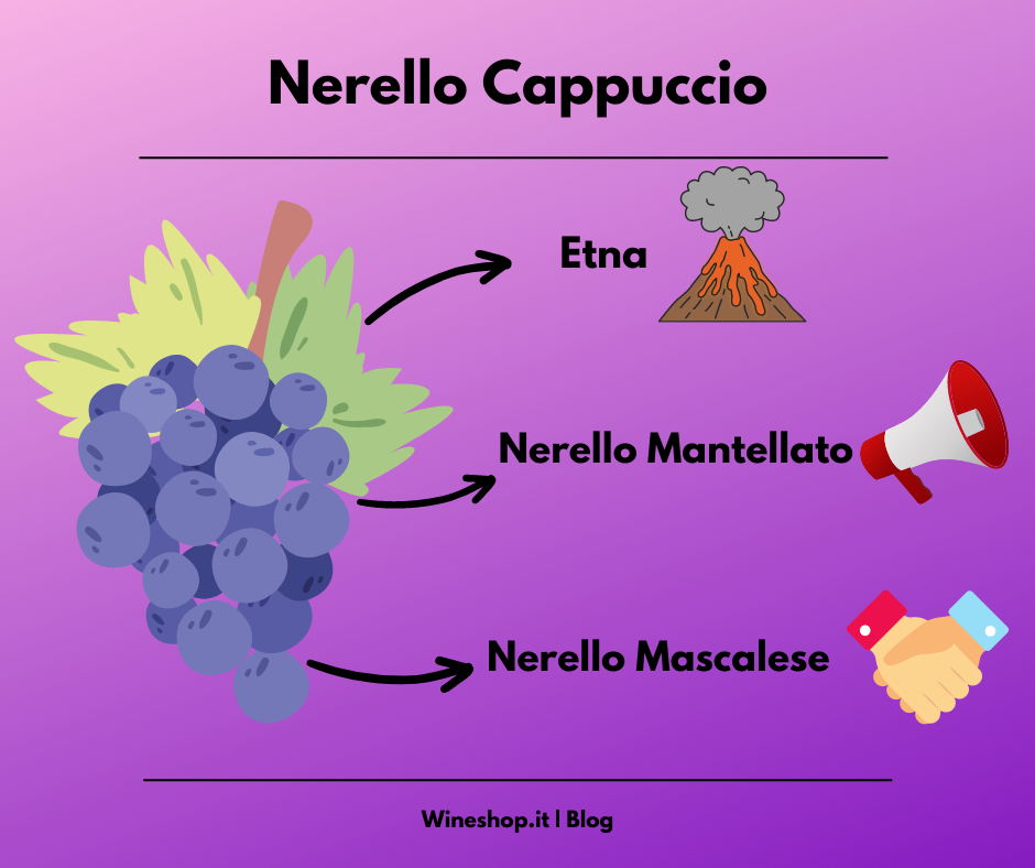 Nerello Cappuccio: vitigno e vini