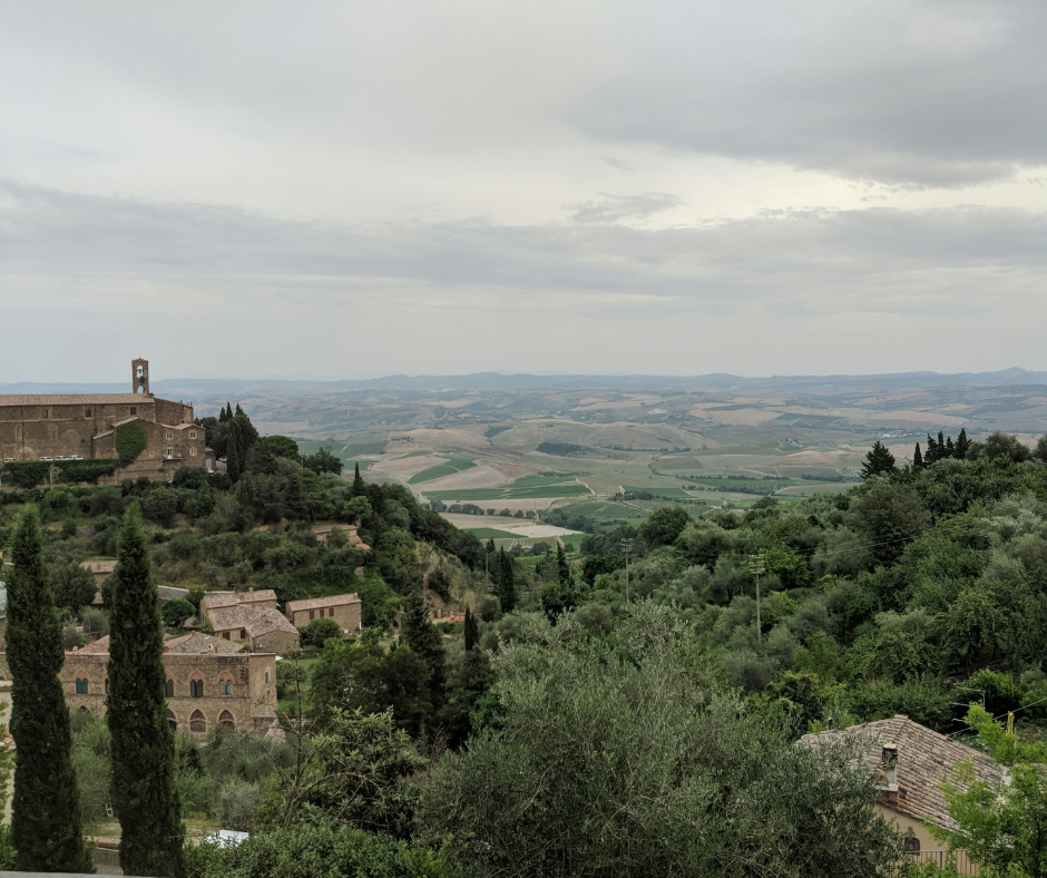 Notizie sul vino: storica ed eccellente, la vendemmia 2024 a Montalcino