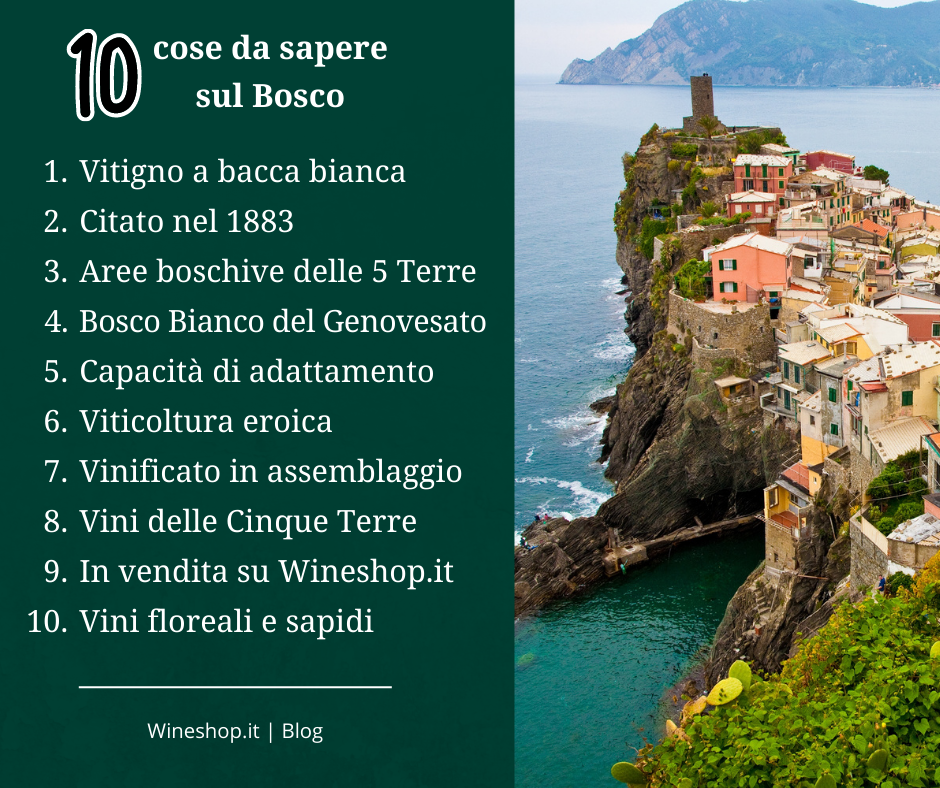 10 cose che devi sapere sul vitigno Bosco