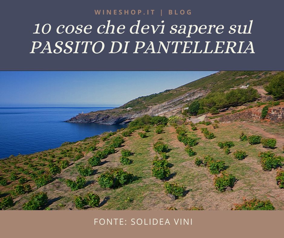 10 cose che devi sapere sul Passito di Pantelleria