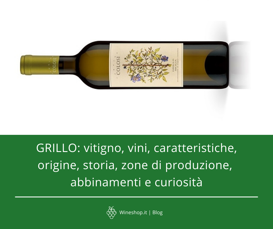 Grillo: vitigno, vini, caratteristiche, origine, storia, zone di produzione, abbinamenti e curiosità