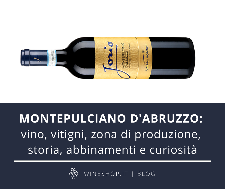 Montepulciano d'Abruzzo: vino, vitigni, zona di produzione, storia, abbinamenti e curiosità