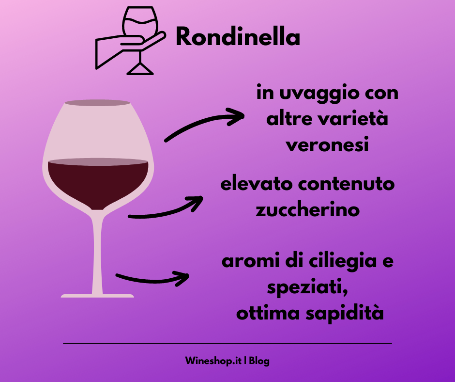 Rondinella: storia, zona di produzione, caratteristiche del vitigno e dei vini, abbinamenti e vendita online