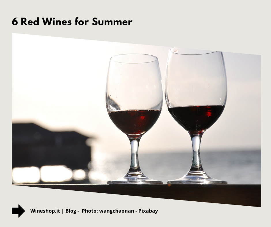 6 Red Wines for Summer