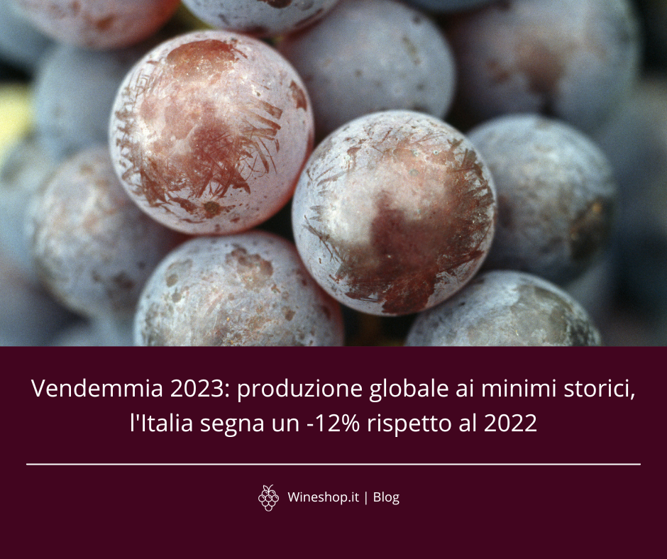 Dati sulla vendemmia 2023: produzione globale ai minimi storici, l'Italia segna un -12% rispetto al 2022