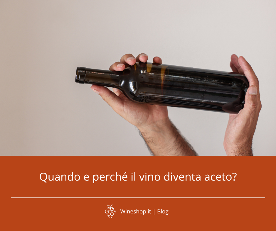 Quando e perché il vino diventa aceto?