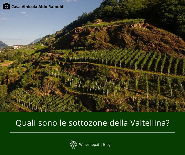 Quali sono le sottozone dei vini della Valtellina?