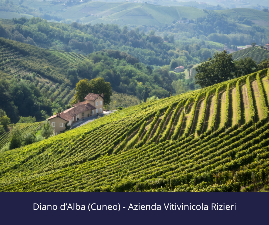 The great producers of Italian wine: interview with ... Arturo Verrotti di Pianella, Rizieri winery
