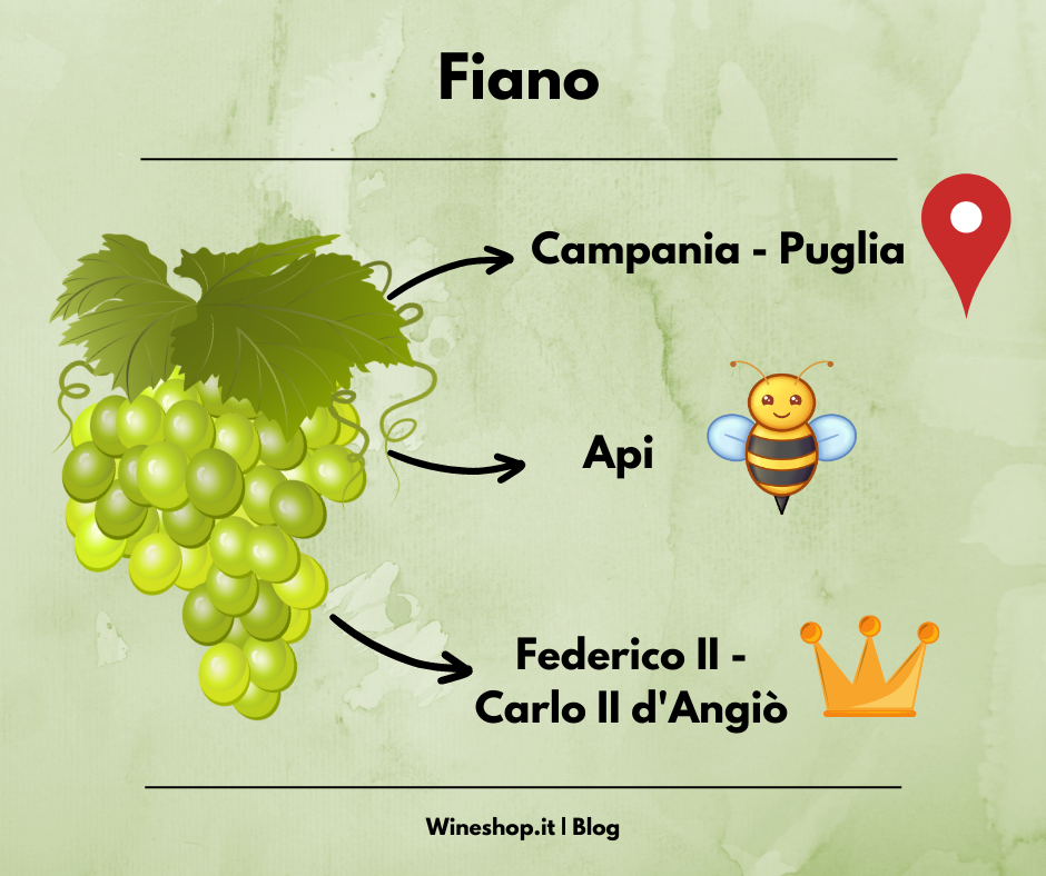 Fiano: vitigno e vini